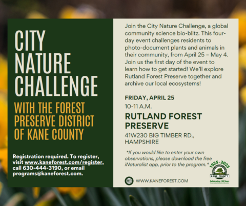 City Nature Challenge with the Forest Preserve District of Kane County